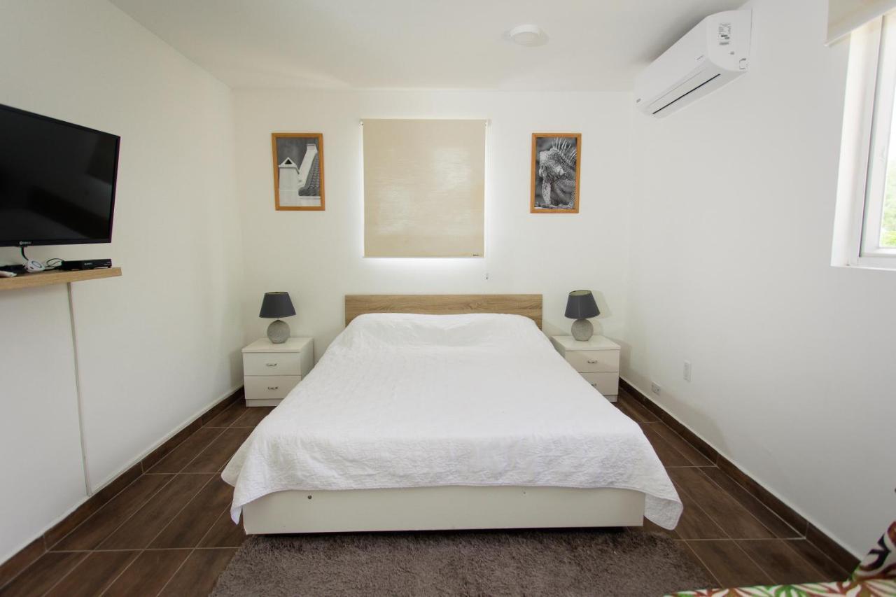 Westpunt Beach Apartments يلمستاد المظهر الخارجي الصورة