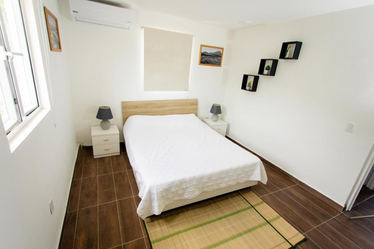 Westpunt Beach Apartments يلمستاد المظهر الخارجي الصورة