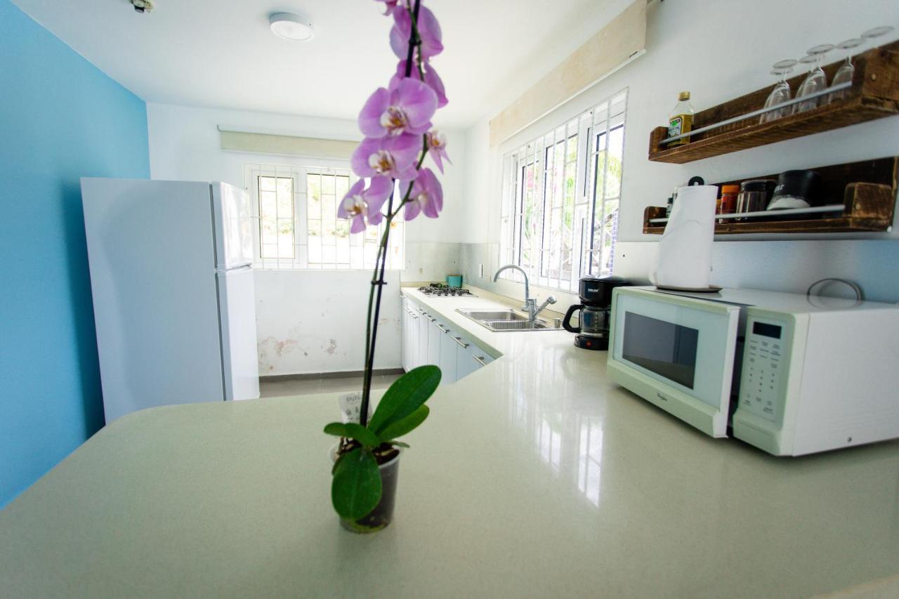 Westpunt Beach Apartments يلمستاد المظهر الخارجي الصورة